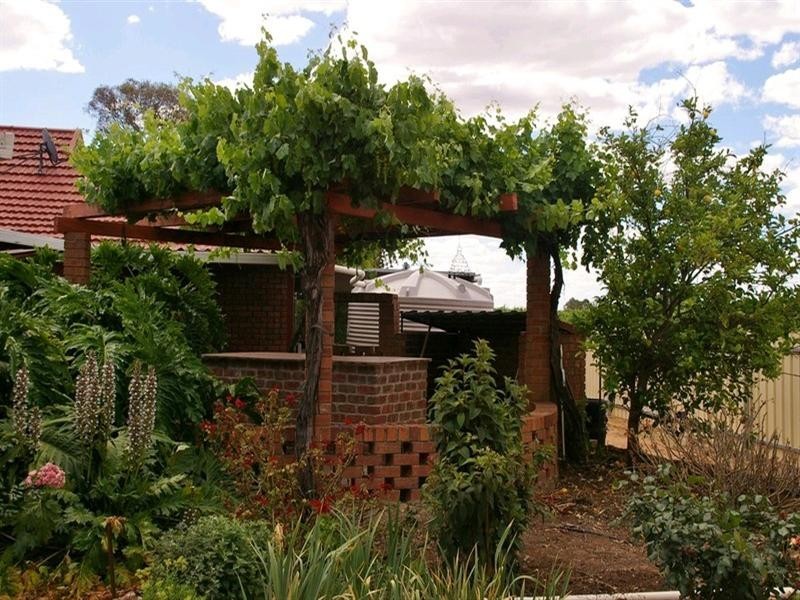 214 Paroo Street, Renmark SA 5341