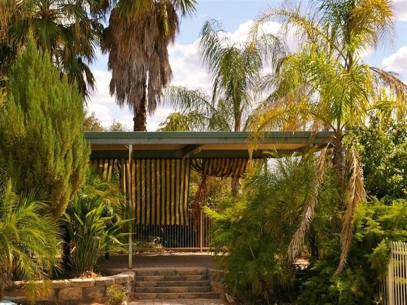 214 Paroo Street, Renmark SA 5341