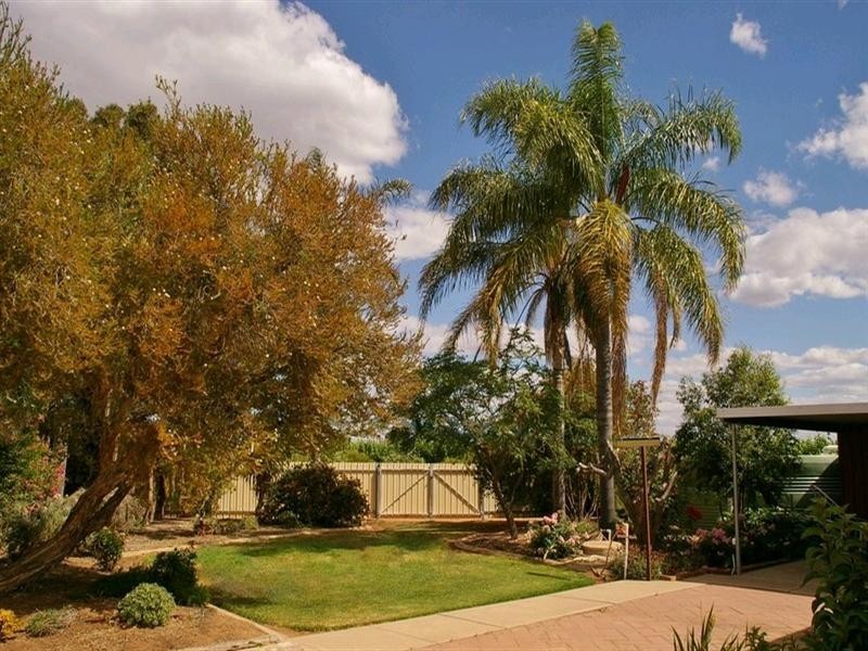 214 Paroo Street, Renmark SA 5341