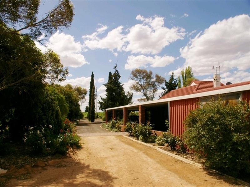 214 Paroo Street, Renmark SA 5341