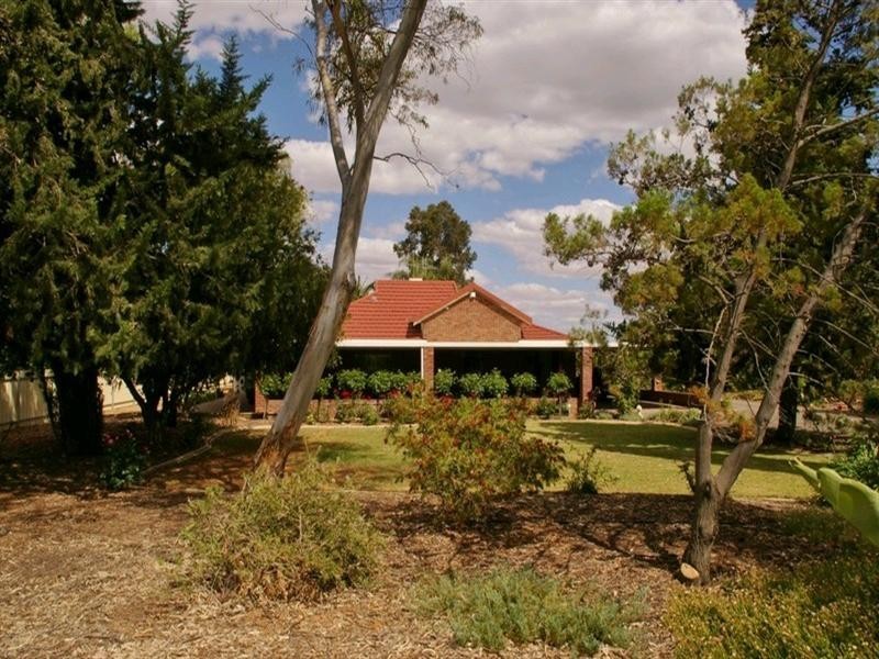 214 Paroo Street, Renmark SA 5341