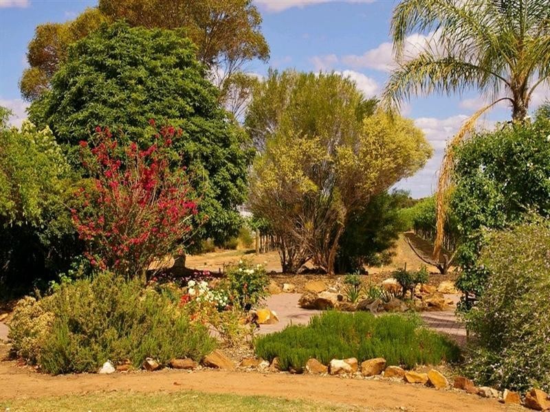 214 Paroo Street, Renmark SA 5341