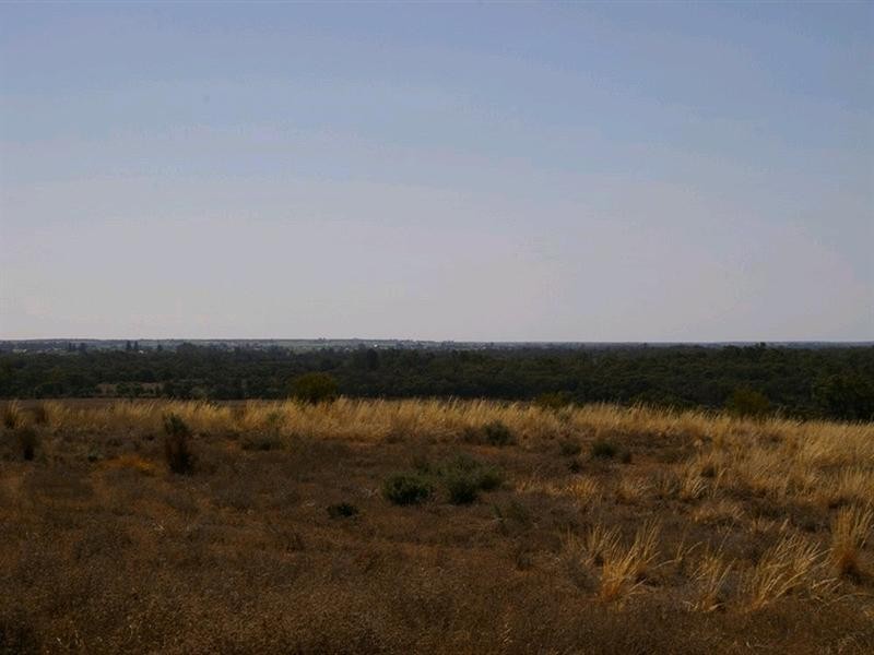Lot 12 Murtho Road, Paringa SA 5340