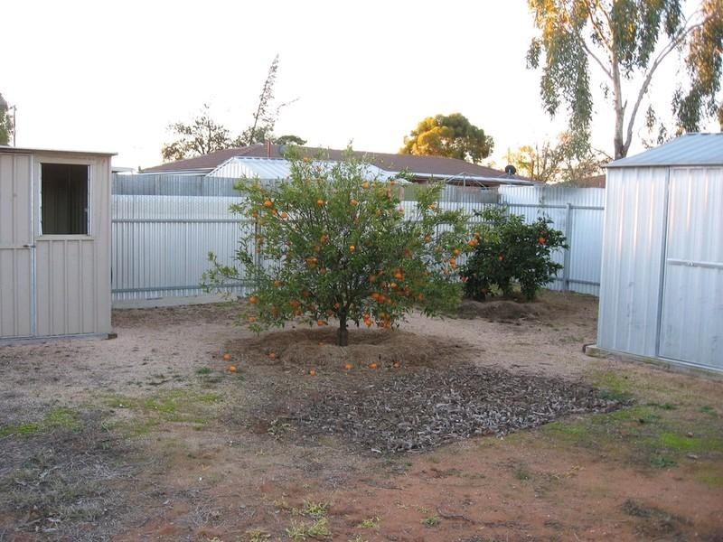 12 Belah Street, Renmark SA 5341