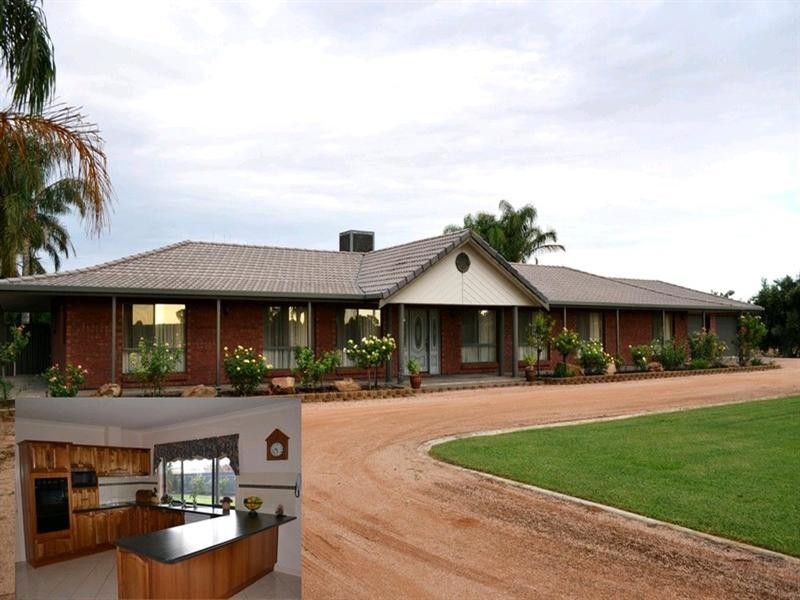 155 Arumpo Street, Renmark SA 5341