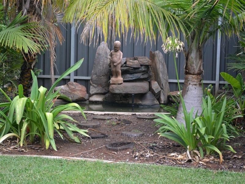 155 Arumpo Street, Renmark SA 5341