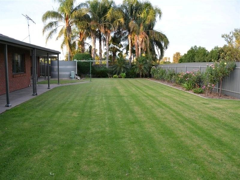 155 Arumpo Street, Renmark SA 5341