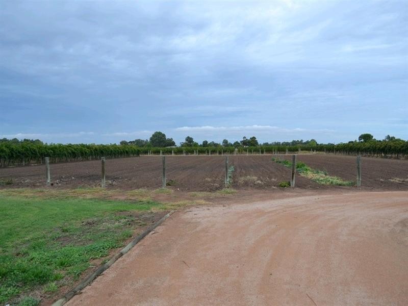 155 Arumpo Street, Renmark SA 5341