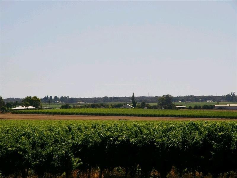 52 Fundak Road, Monash SA 5342