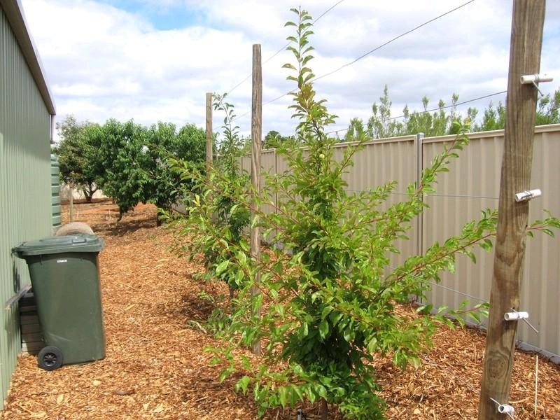 3 Warrakoo Court, Paringa SA 5340