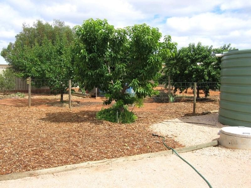 3 Warrakoo Court, Paringa SA 5340