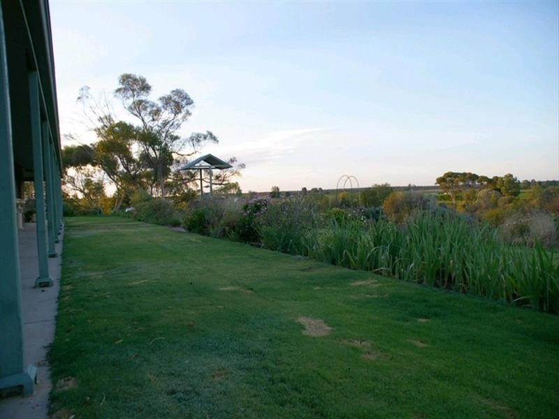 419 Cooltong Avenue, Renmark SA 5341