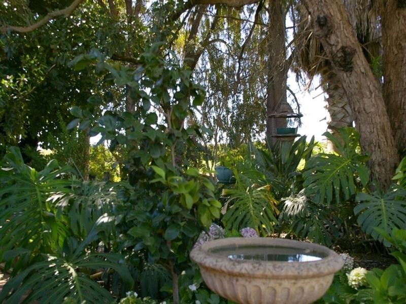 164 Tarcoola Street, Renmark SA 5341