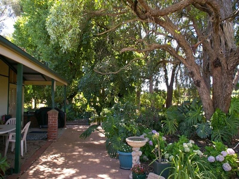 164 Tarcoola Street, Renmark SA 5341