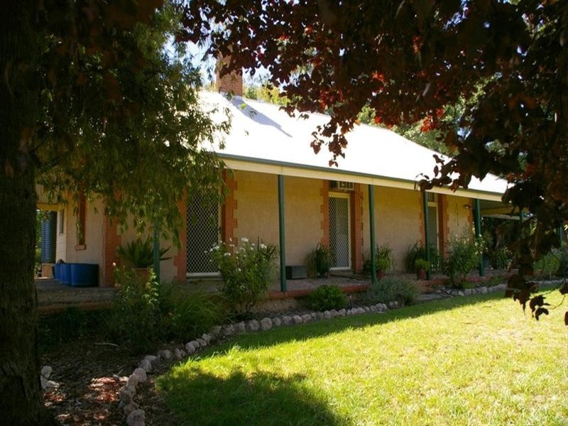 164 Tarcoola Street, Renmark SA 5341