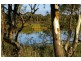 5 Sorrento Court, Renmark SA 5341
