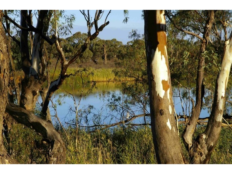 5 Sorrento Court, Renmark SA 5341