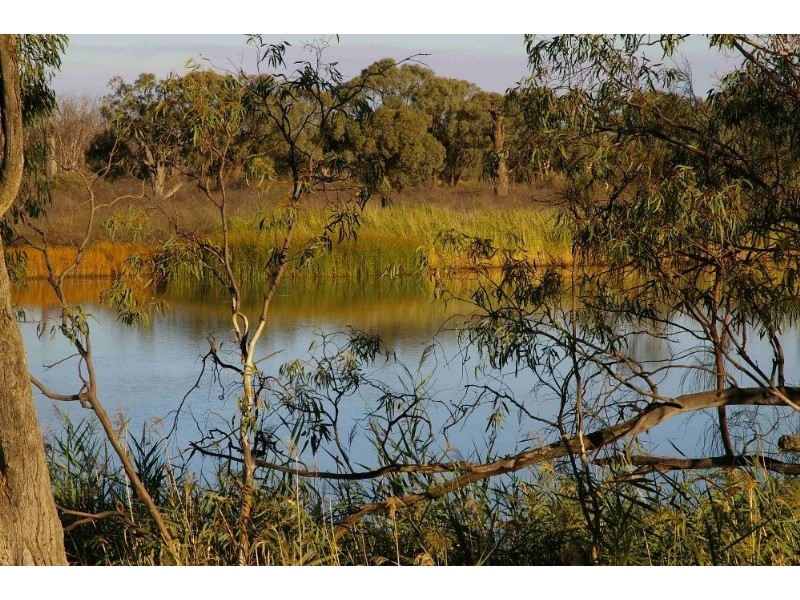 5 Sorrento Court, Renmark SA 5341