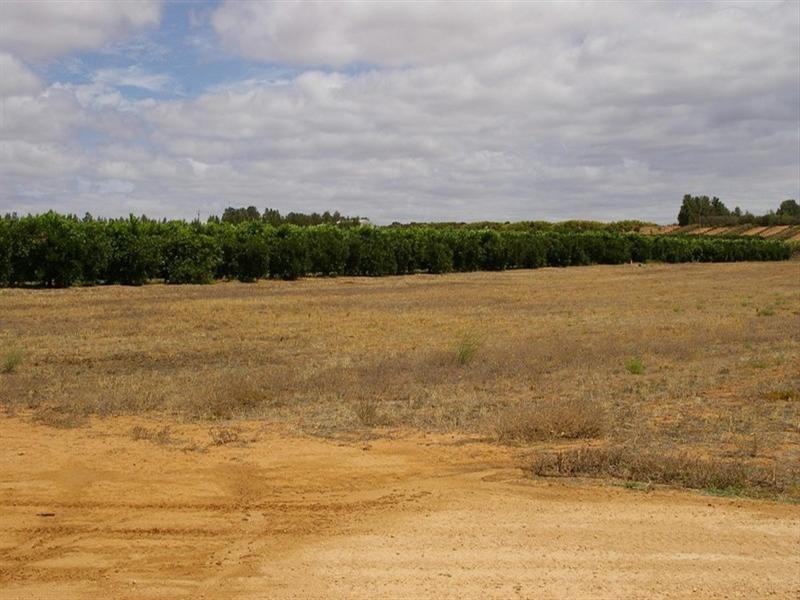 422 Roper Street, Renmark SA 5341