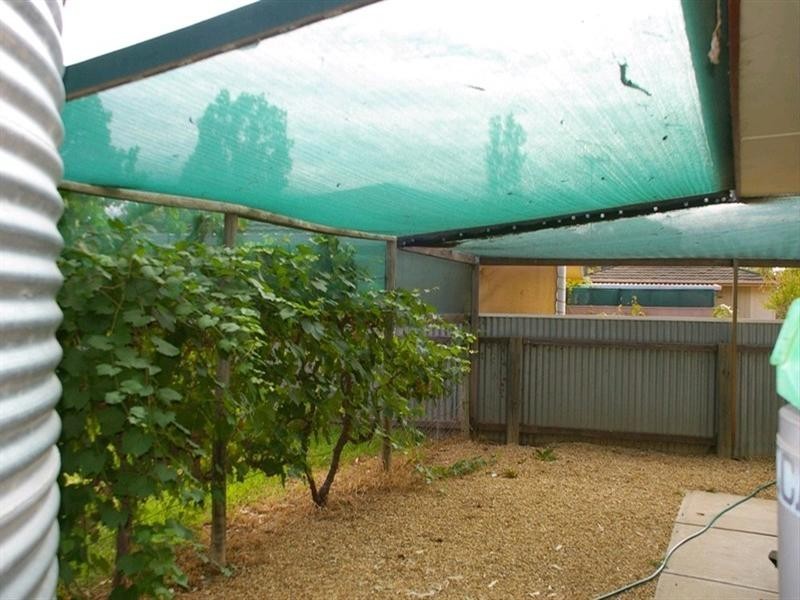 53 Sims Parade, Renmark SA 5341