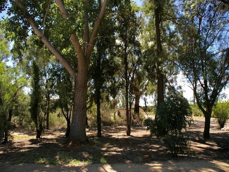 193 Old Cooltong Avenue, Renmark SA 5341