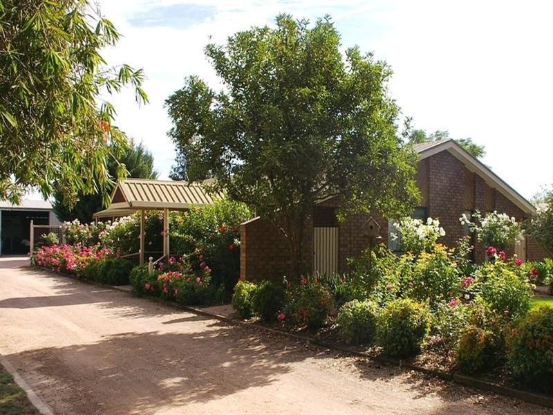 20233 Renmark Avenue, Renmark SA 5341