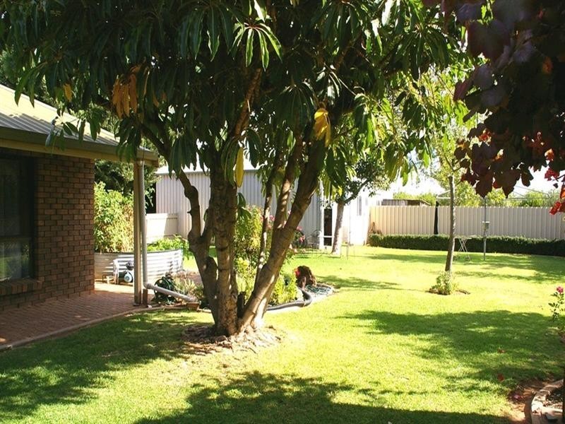 20233 Renmark Avenue, Renmark SA 5341