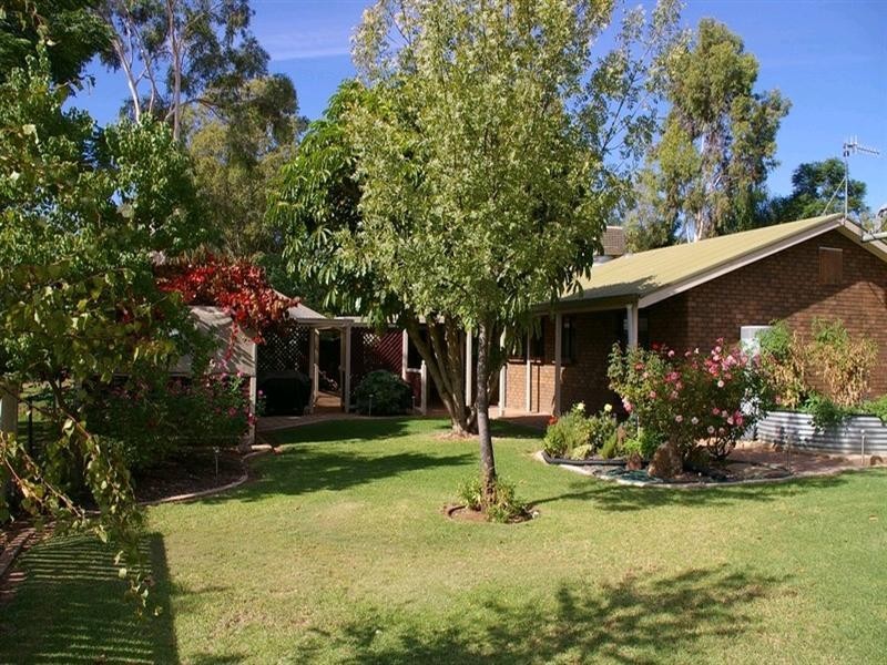 20233 Renmark Avenue, Renmark SA 5341