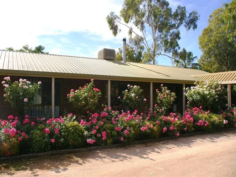 20233 Renmark Avenue, Renmark SA 5341