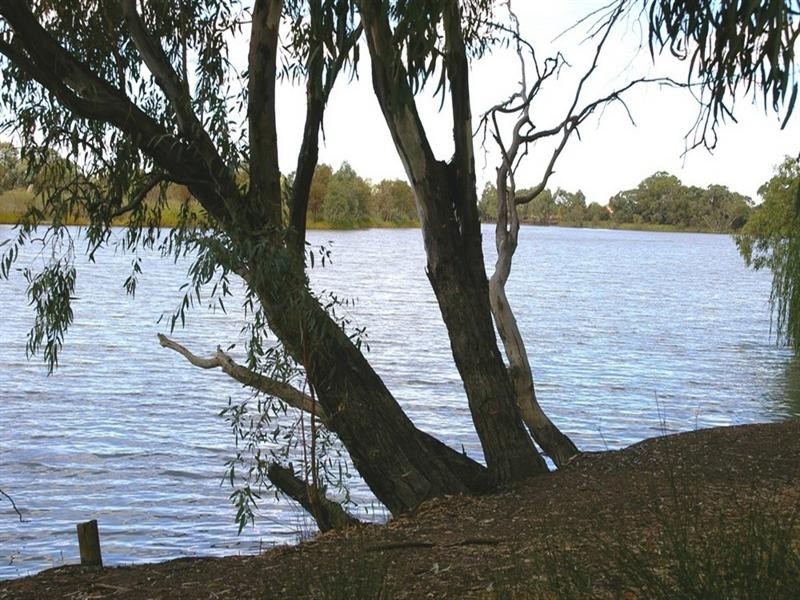 2 Alma Street, Renmark SA 5341