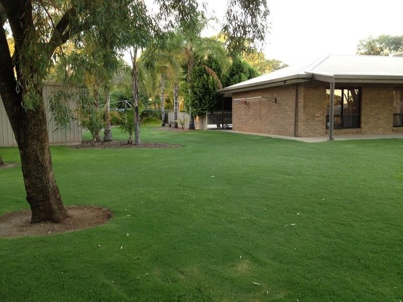 2 Alma Street, Renmark SA 5341