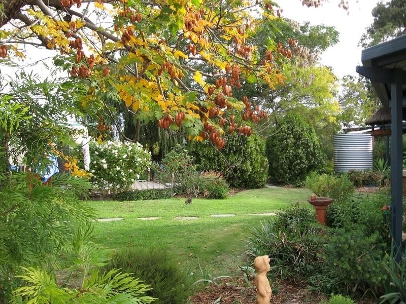 124 Darling Street, Renmark SA 5341