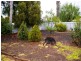 21 Myall Street, Renmark SA 5341