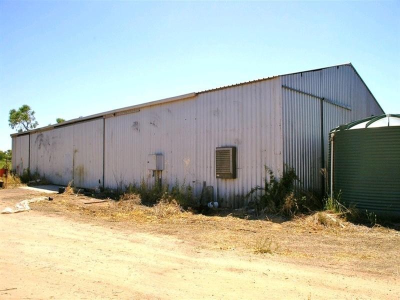3 Twentyfourth Street, Renmark SA 5341