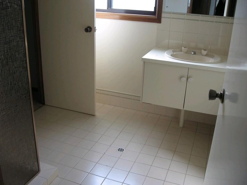 116 Quail Street, Renmark SA 5341