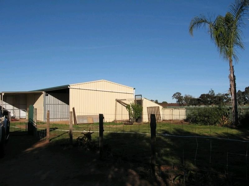 297 Tarcoola Street, Renmark SA 5341