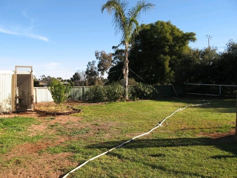 297 Tarcoola Street, Renmark SA 5341