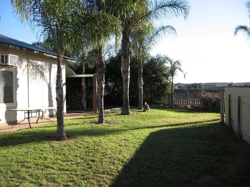 297 Tarcoola Street, Renmark SA 5341