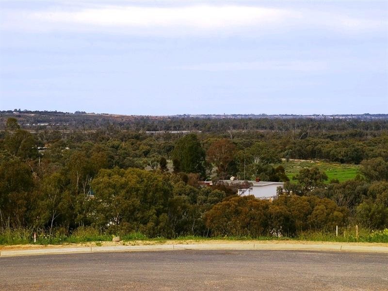 17 Panorama Court, Paringa SA 5340