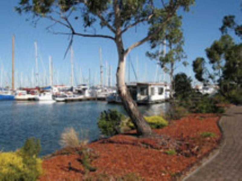 00 Cnr. Hodgins and Boes Road, Hastings VIC 3915