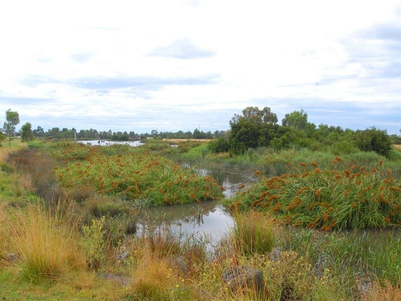 5 Observation Court, Waterways VIC 3195