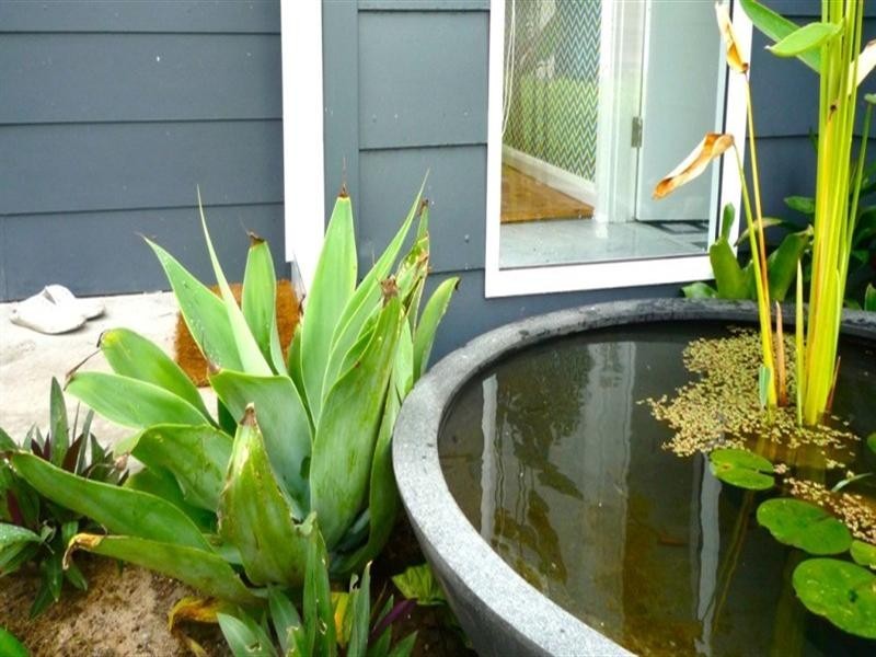 150 Charles Avenue, Minnamurra NSW 2533