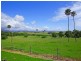 199 Long Brush Road, Kiama NSW 2533