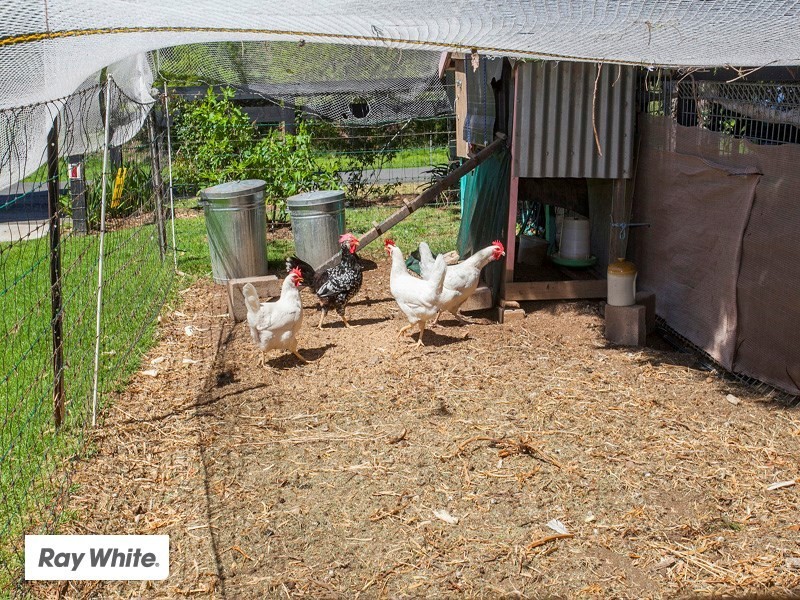 118 Fountaindale Road, Jamberoo NSW 2533