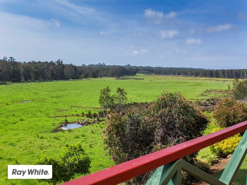 41 Newing Circuit, Kiama Downs NSW 2533