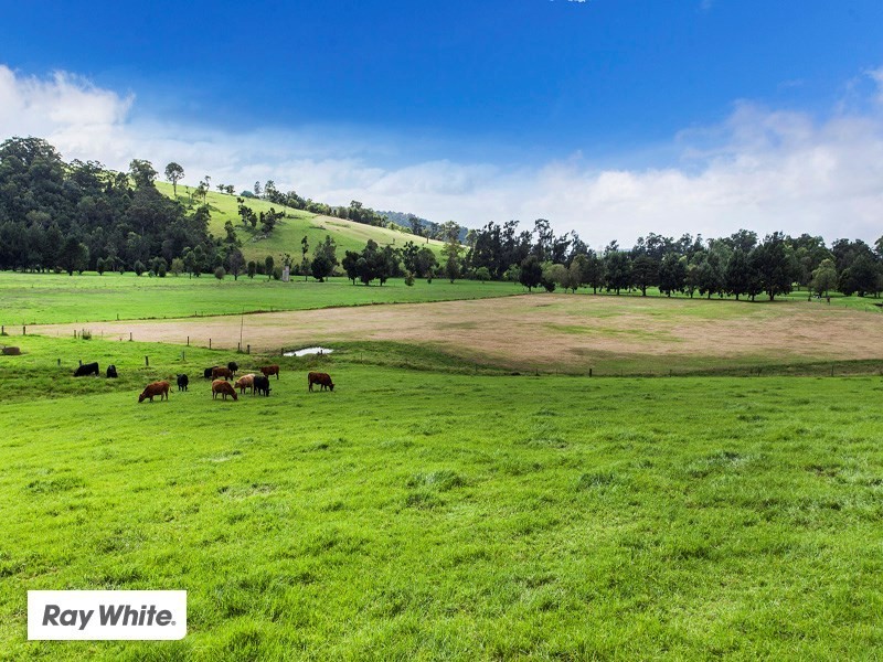 11 Tate Place, Jamberoo NSW 2533