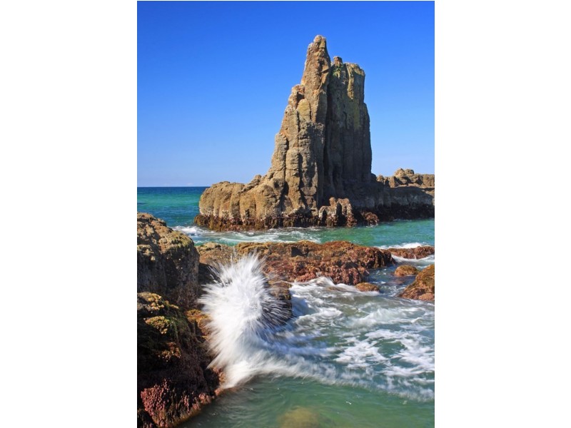 16 Darien Avenue, Kiama NSW 2533