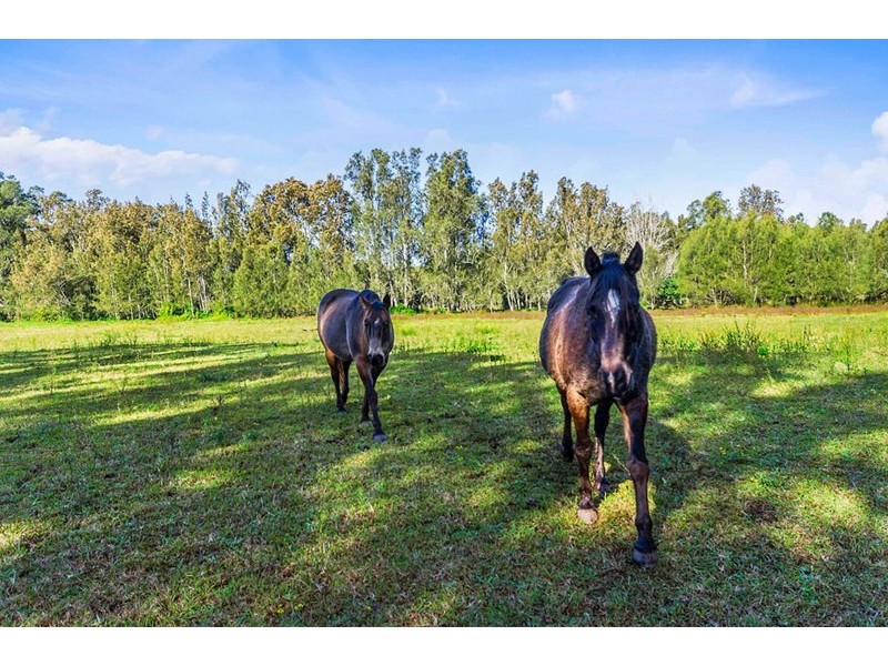 12 Thornett Way, Kiama Downs NSW 2533