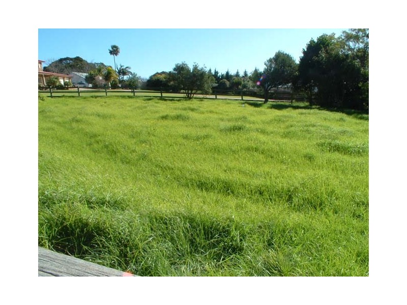 1 Cedar Ridge Road, Kiama NSW 2533