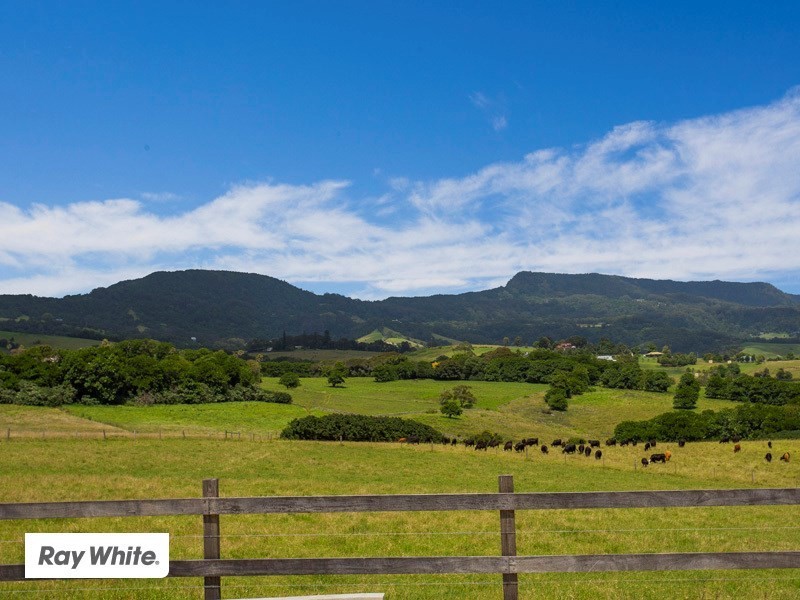 20 Arnold Crescent, Kiama NSW 2533